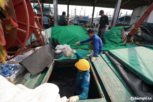 Chuyến biển chưa trọn mẻ nhưng ngư dân vẫn tranh thủ đưa hải sản đã đánh bắt được từ tàu lên bờ, bán chạy trước khi bão đến. Ảnh: T.P