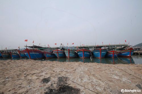 Chiều 11/6, hàng loạt tàu cá của ngư dân từ Cửa Lò (TP. Vinh), Diễn Châu, Quỳnh Lưu, Hoàng Mai… nối đuôi nhau trở về bến tránh trú bão. Ảnh: T.P