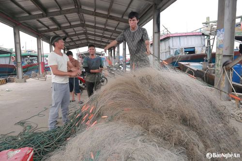 Ngư cụ được đưa lên bờ để tránh bão. Ảnh: T.P