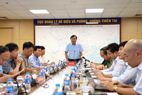 Chiều 11/6, Thứ trưởng Bộ Nông nghiệp và Môi trường Nguyễn Hoàng Hiệp đã chủ trì cuộc họp ứng phó với bão số 1 và mưa lũ.