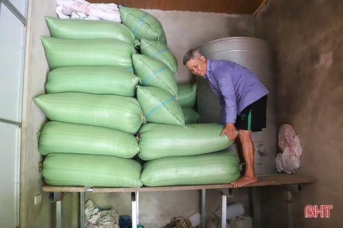  Di chuyển lúa lên cao là cách ông Nguyễn Thanh Hải (thôn Kênh, xã Cẩm Thành) ứng phó với mưa lũ. 