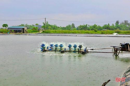 Thời tiết mưa lớn có thể làm thay đổi các chỉ số trong ao nuôi.