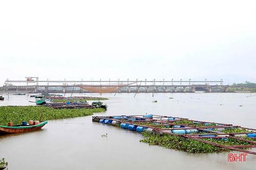 Khu vực sông Nghèn tại xã Thạch Sơn hiện có gần 40 hộ dân nuôi trồng thủy sản.