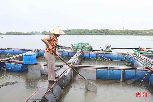 Người nuôi trồng thủy sản chủ động triển khai các giải pháp, hạn chế thiệt hại do mưa lũ.