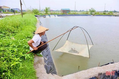 Trên địa bàn tỉnh dự báo có mưa vừa đến mưa to sẽ ảnh hưởng đến nuôi trồng thủy sản.