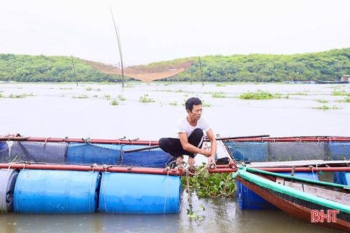Anh Nguyễn Văn Nga (thôn Sông Hải, xã Thạch Sơn, Thạch Hà) gia cố lồng bè trước dự báo mưa lớn có thể xảy ra trên địa bàn Hà Tĩnh.