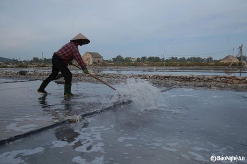 Nước biển được đẩy đều vào các ô chạt, những bể phơi rộng lớn trải dài dưới ánh nắng. Mỗi giọt nước là sự kỳ vọng cho những hạt muối tinh sắp hình thành. Ảnh: T.P