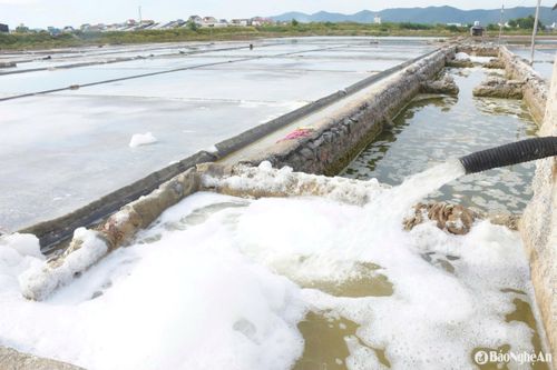 Quá trình sản xuất muối bắt đầu bằng việc bơm nước biển vào bể chứa lớn. Đây là bước nền tảng để tạo nên độ mặn cao, chuẩn bị cho công đoạn phơi muối. Ảnh: T.P
