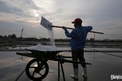 Muối sau khi kết tinh được diêm dân cẩn thận thu gom. Đây là phần thưởng cho những giờ lao động miệt mài, chạy đua với thời tiết. Ảnh: T.P