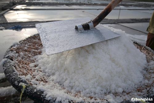 Những hạt muối trắng bắt đầu hiện rõ. Đây là thành quả của cả một ngày “cướp nắng”. Ảnh: T.P