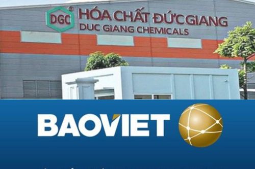 Logo của DGC và BVH. Ảnh: A.N/Bnews/vnanet.vn