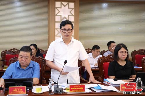 Lãnh đạo Ban Kinh tế - Ngân sách, HĐND tỉnh báo cáo tại Phiên họp.
