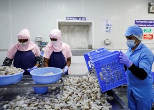 Công nhân chế biến tôm tại một nhà máy ở Ấn Độ.