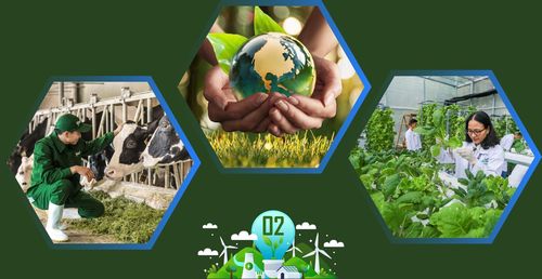 Ông đánh giá thế nào về kết quả và hiệu quả, giá trị của các dự án hợp tác hỗ trợ của Nhật Bản với Việt Nam được triển khai theo Cơ chế tín chỉ chung?