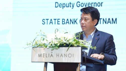  Phó Thống đốc Ngân hàng Nhà nước Việt Nam Phạm Tiến Dũng phát biểu tại tọa đàm. 