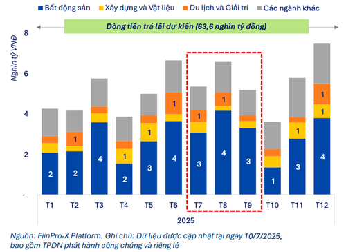 Dòng tiền trả lãi dự kiến theo từng tháng năm 2025. (Nguồn: FiinGroup).