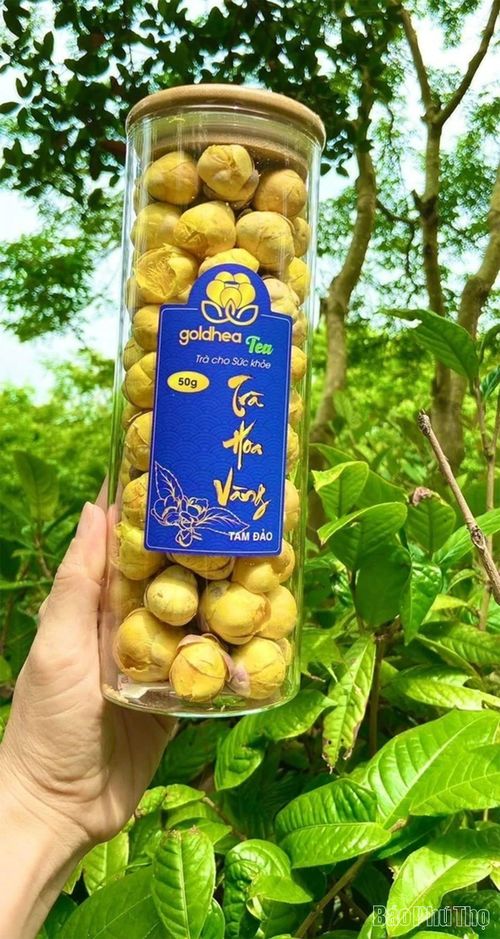 Sản phẩm Trà hoa vàng đóng hộp uy tín của Công ty cổ phần đầu tư Thương mại dịch vụ Tam Đảo.