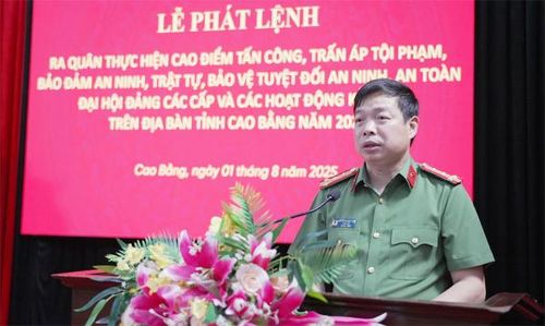 Đại tá Nguyễn Quang Vinh, Giám đốc Công an tỉnh phát lệnh cao điểm tấn công trấn áp tội phạm.