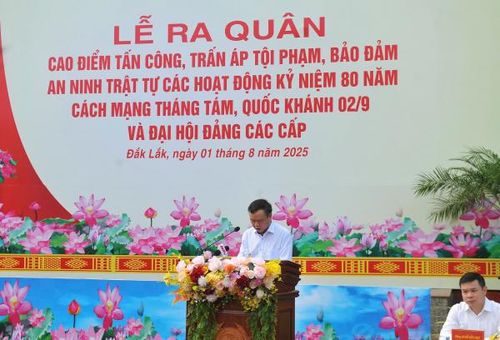 Phó Chủ tịch UBND tỉnh Đào Mỹ phát biểu chỉ đạo tại buổi lễ ra quân.