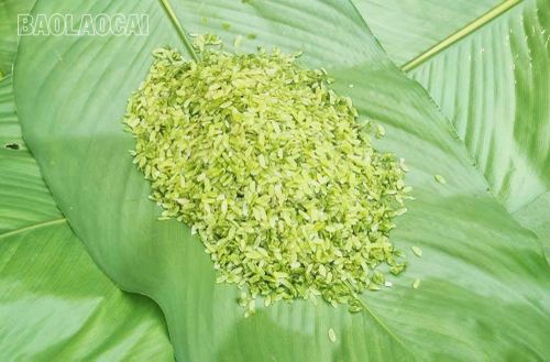 Cốm sau khi làm xong được bọc cẩn thận trong lớp lá dong xanh mướt, giữ cho hương thơm thoang thoảng của cốm hòa quyện với mùi lá. Đây không chỉ là cách gói truyền thống mà còn là nét duyên riêng của cốm Na Lo. Với giá 150.000 đồng/kg, cốm Na Lo trở thành món quà đặc sản được du khách săn đón. Đây không chỉ là sản phẩm kinh doanh mà còn là niềm tự hào của người dân Na Lo khi giới thiệu hương vị quê hương đến với du khách thập phương.
