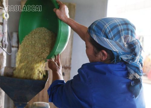 ...rồi sau đó đưa vào máy xát.