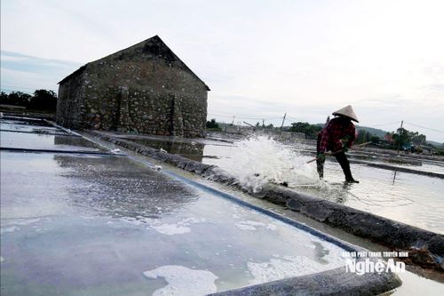 Trên những cánh đồng muối, diêm dân vẫn kiên trì sản xuất. Ảnh: Thanh Phúc