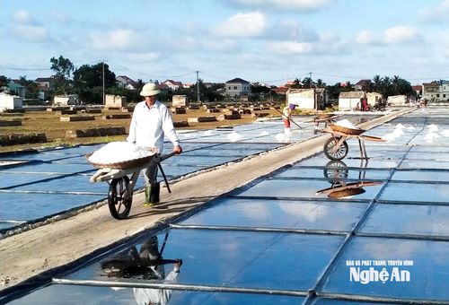 Cánh đồng muối ở xã Quỳnh Phú. Ảnh: Thanh Phúc
