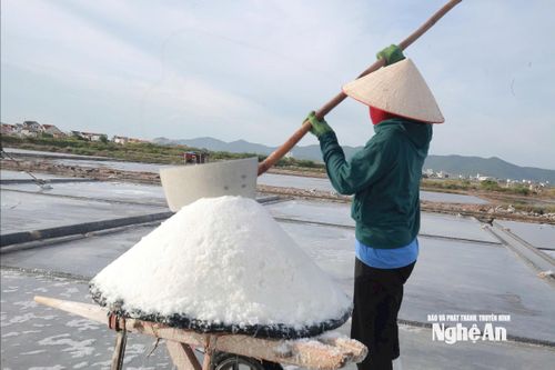 Muối phơi cát truyền thống hiện đang cạnh tranh khốc liệt với muối công nghiệp. Ảnh: Thanh Phúc