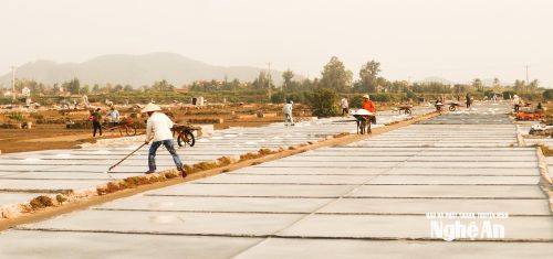 Cánh đồng muối ở xã Quỳnh Phú. Ảnh: Thanh Phúc