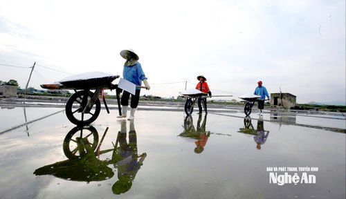 Nâng cao giá trị muối hạt là nâng thu nhập cho diêm dân, giữ nghề truyền thống. Ảnh: Thanh Phúc