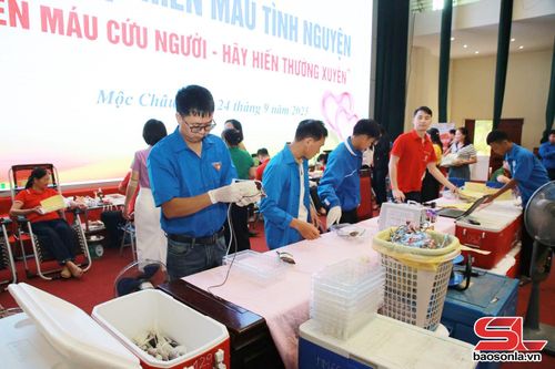 Lực lượng ĐVTN tham gia hỗ trợ tại ngày hội.