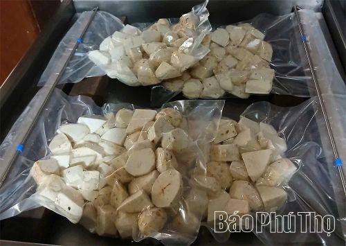Để bảo quản sản phẩm lâu dài, người dân thường sơ chế, gọt vỏ, thái sẵn và hút chân không, cất trữ trong ngăn đá tủ lạnh