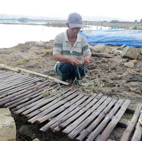 Ông Nguyễn Văn Á lượm lặt đoạn dây nhợ và những thanh tre còn sót lại bên đống muối đã tan chảy