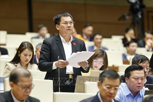 Đại biểu Quốc hội tỉnh Lâm Đồng Dương Khắc Mai phát biểu. Ảnh: Doãn Tấn/TTXVN