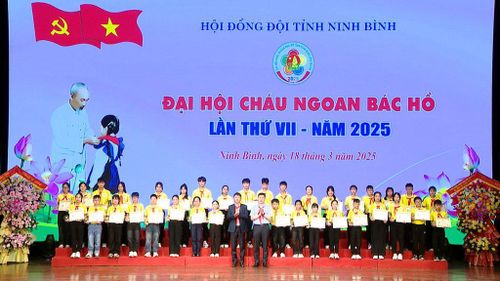 Thiếu niên, nhi đồng có thành tích đặc biệt xuất sắc trong công tác Đội và phong trào thiếu nhi được nhận danh hiệu Cháu ngoan Bác Hồ cấp tỉnh.