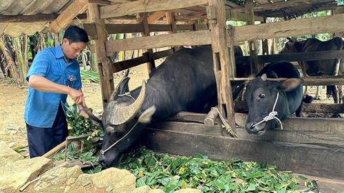 Việt Nam tiếp tục được Liên hợp quốc ghi nhận là "điểm sáng" châu Á về giảm nghèo đa chiều trong giai đoạn phục hồi.