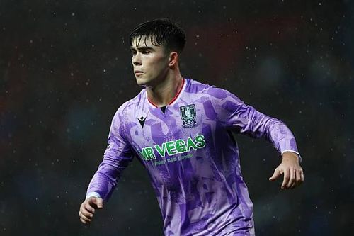 Harry Amass đang chơi tốt ở Sheffield Wednesday.