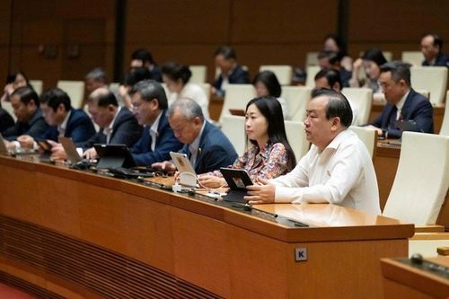 Đại biểu tham gia phiên họp. Ảnh: media.quochoi.vn