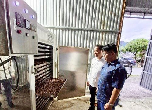 Lãnh đạo Liên minh Hợp tác xã tỉnh nắm tình hình hoạt động sản xuất, kinh doanh tại Hợp tác xã Thuận Phong.