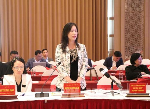 PGS. TS Nguyễn Thị Phương Châm, Viện trưởng Viện nghiên cứu Văn hóa, Viện Hàn lâm Khoa học xã hội Việt Nam, phát biểu thảo luận tại Hội thảo. Ảnh: Tạ Toàn – TTXVN