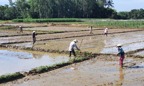 Các hợp tác xã sẵn sàng bước vào vụ sản xuất đông xuân. Ảnh: QUANG VIỆT