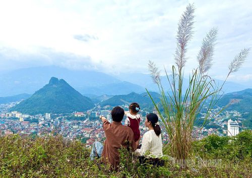 Ngay gần các phường Hà Giang 1, Hà Giang 2, một gia đình trẻ vẫn tìm được cho mình bức ảnh lãng mạn bên mùa lau.