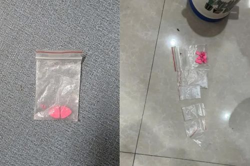 Tang vật ma túy các loại bị lực lượng chức năng thu giữ. Ảnh: CADN