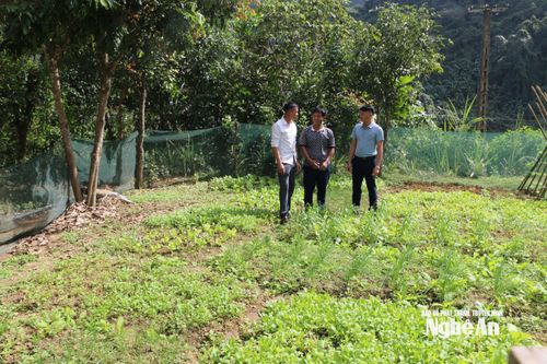 Bí thư Chi bộ và Trưởng bản Bá Hạ xã Mậu Thạch trò chuyện với đảng viên La Văn Bảy (đứng giữa). Ảnh: K.L