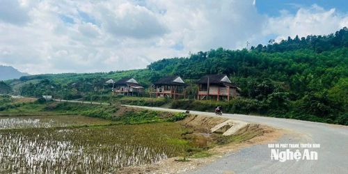 Đường vào khu tái định cư của đồng bào Đan Lai ở bản Bá Hạ, xã Mậu Thạch. Ảnh: K.L