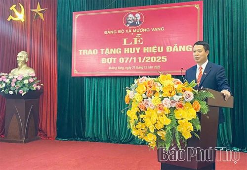 Trưởng Ban Tổ chức Tỉnh ủy Bùi Đình Thi phát biểu tại Lễ trao tặng Huy hiệu Đảng.