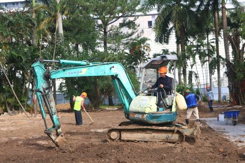 Không gian trồng cây xanh được cải tạo lại. Ảnh: VĂN HOÀNG