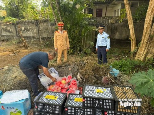 Tiêu hủy hàng hóa vi phạm. Ảnh: CQCNCC