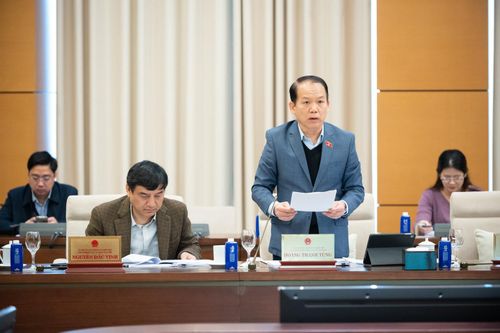 Chủ nhiệm Ủy ban Pháp luật và Tư pháp Hoàng Thanh Tùng. Ảnh: QH