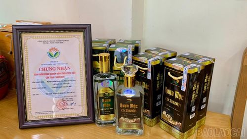  Các sản phẩm đạt chứng nhận và giải thưởng được trưng bày tại Lễ trao giải 15 sản phẩm tiêu biểu của tỉnh Lào Cai năm 2025. 